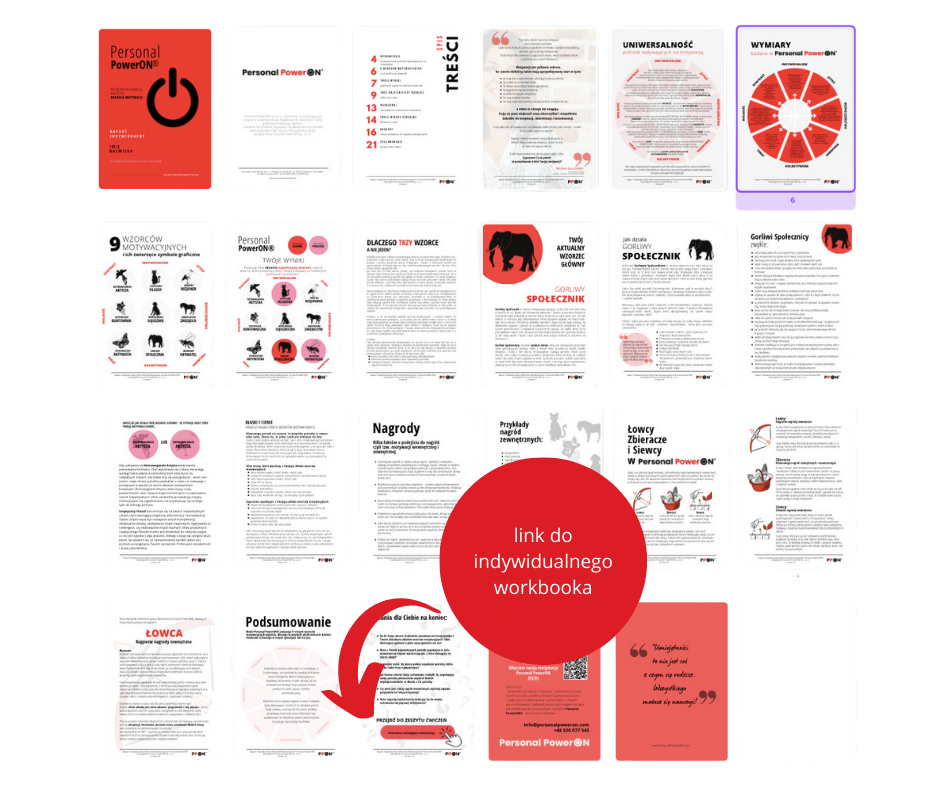 Raport Personal PowerOn